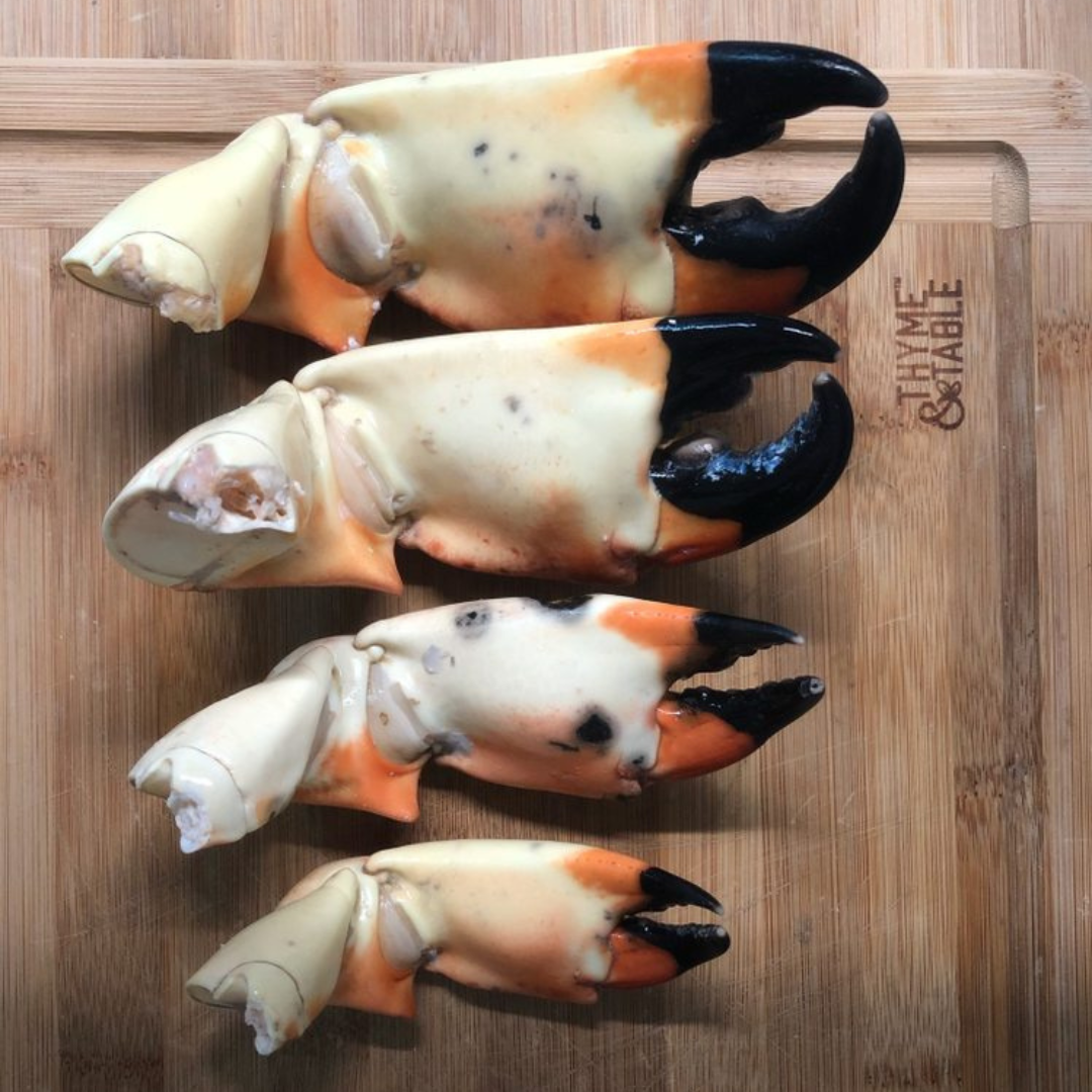 Stone Crabs - Includes Mustard Sauce!