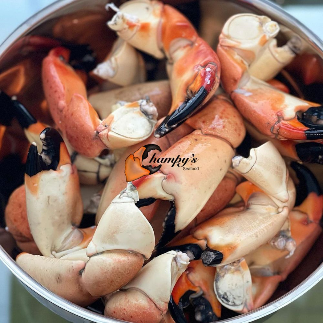 Stone Crabs - Includes Mustard Sauce!